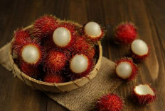 Lagi Musim, Ini Sederet Manfaat Buah Rambutan Bagi Pria