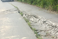 Jalan Penghubung Kecamatan Ulu Talo Rusak