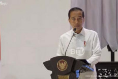 Disebut Hasto Tak Lagi Jadi Bagian PDIP, Jokowi: Berarti Partai Perorangan