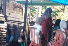 Diserang Anjing Gila, Balita 25 Bulan Asal Talo Meninggal Dunia