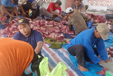 Qurban di Desa Purbosari 12 Ekor Sapi dan 1 Kambing