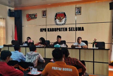 Harapan Terlalu Tinggi, Caleg Gagal Rentan Stress