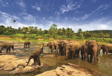 Lampung: Gerbang Sumatera yang Kaya Wisata Bahari, Gunung, dan Kearifan Lokal