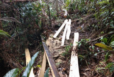 Penyebab Terjadinya Banjir, Ancaman yang Terus Mengintai Berbagai Daerah di Indonesia