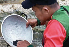 Demam Emas di Sungai Keboireng, Tulungagung: Warga Berbondong-bondong Mendulang dengan Wajan 