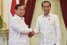 Ditanya Reshuffle Kabinet, Jokowi Lempar Senyum