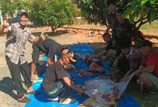  Polres Seluma Sembelih 8 Hewan Kurban dan Salurkan Ratusan Paket Daging