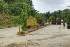 Pabrik Crude Palm Oil (CPO) PT Bengkulu Sawit Lestari, Stop Operasi 27 Maret