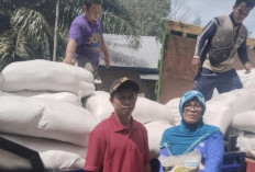 15 Ton Bibit Padi, Dibagikan Gratis ke 60 Kelompok Tani