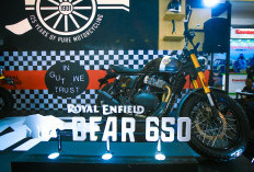  Royal Enfield Bear 650, Motor 240 Jutaan, Ada di IIMS 2026