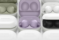 Samsung Galaxy Buds2 Graphite: Earbuds Ringan dengan Kualitas Suara Premium