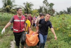 Tapteng Terbanyak, BNPB: 116 Korban Tewas Akibat Banjir di Sumut