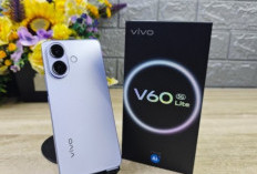 Vivo V60 Lite Resmi Meluncur, Tawarkan Desain Premium dan Performa Andal di Kelas Menengah
