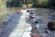 Akses ke Desa Simpang Masih Terobos Sungai, Masyarakat Kecewa Kinerja Pemerintah  ﻿