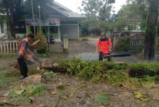 Musim Hujan Tiba, BPBD Bengkulu Selatan Imbau Waspada Bencana Longsor dan Pohon Tumbang