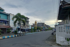 Rp 300 Juta Target 2025 Pajak Reklame Pemkab Bengkulu Selatan