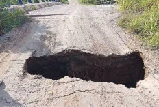 Abrasi, Jembatan Amblas, Puluhan Hektare Sawah di Pasar Seluma Rusak