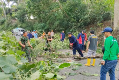 Buang Sampah Sembarangan Terancam Pidana