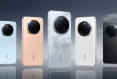 Honor Magic 8 Mini Resmi Meluncur, Usung Desain Premium dan Performa Kelas Flagship di Bodi Kompak