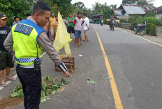 Belum Terungkap, Kasus Tabrak Lari Masih Dalam Penyelidikan Polisi