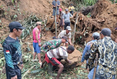 Tanah Longsor Tutup Akses Jalan di Desa Talang Durian Seluma, TNI/Polri dan Warga Bergerak Gotong Royong