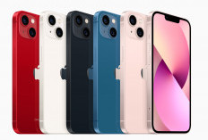Harga iPhone 13 Terbaru di Indonesia, Masih Layak Dibeli di 2025?