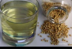 Manfaat Rebusan Air Ketumbar untuk Pengobatan Herbal Alami