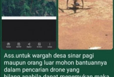 Drone Pemetaan BPKH Hilang di Hutan Seluma Utara, Diduga Diserang Elang Saat Survei Batas Kawasan