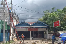 Jelang MTQ, PLN ULP Tais Intensifkan Pemeliharaan Jaringan Listrik
