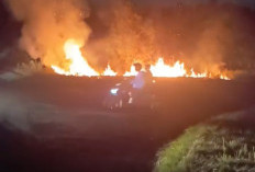 Lahan Kosong di Depan Dinas Perikanan Terbakar, Warga Panik, Pemkab Imbau Waspada di Tengah Cuaca Panas