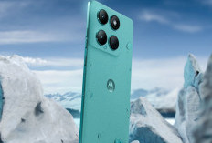 Motorola Edge 60 Fusion Resmi Hadir di Indonesia: Desain Premium, Kamera 50MP, dan Layar P-OLED 144Hz
