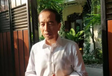 Calon Kepala Daerah Sowan ke Jokowi, hingga Prabowo Teken Perpres 7 Kemenko