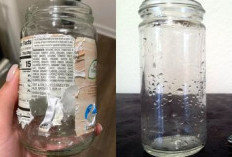 3 Cara Mudah Menghilangkan Bekas Stiker pada Permukaan Kaca