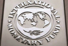 Nigeria Lunasi Utang ke IMF, Tapi Masih Dibayangi Kewajiban Tahunan