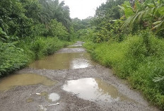 Puluhan Tahun, Jalan Menuju Desa Padang Batu Rusak Parah dan Tak Kunjung Dibangun