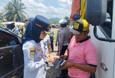 Tim Gabungan, Sosialisasi ODOL