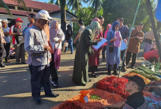 Pemilu, Harga TBS Normal Tetapi Cabe Meroket Naik