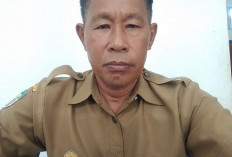 Pemdes Talang Kabu, Buka Badan Jalan Sentra Pertanian 