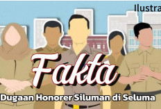 Dugaan Honorer Siluman, Infonya Terdapat di Nakes dan Guru