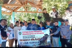   Sekda BS Serahkan Sapi Bantuan Presiden di Kedurang