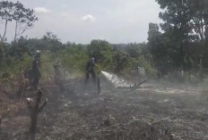   Kemarau,  Lahan di Kawasan Perkantoran Pemkab Seluma Terbakar, Damkar Lakukan Pendinginan