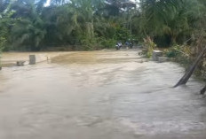 Hujan Deras Guyur Ilir Talo, Belasan Hektar Sawah Terendam