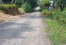 Proyek Perbaikan Irigasi Bendungan Seluma Senilai Rp 23 Miliar, Dikeluhkan Warga Akibat Rusaknya Jalan Baru