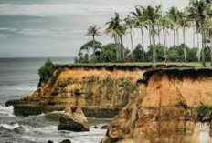 Pantai Nangai, Permata Tersembunyi di Bengkulu