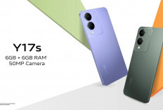 Vivo Y17s: Ponsel Mid-Range dengan Desain Dinamis, Baterai Tahan Lama, dan Kamera 50MP