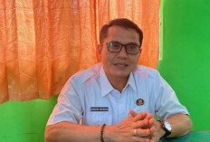 Pupuk Subsidi, Distribusi Melalui Gapoktan, Distan Seluma Tunggu Petunjuk