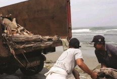 Hasilkan Puluhan Ton Setiap Hari Sampah Masyarakat, DLHK Ajak Kelolah Sampah