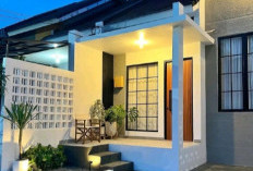 Inspirasi Dekorasi Teras Rumah Minimalis Modern Terbaru