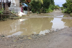  1,5 Km, Akses Jalan Provinsi Menuju Dusun Baru Ilir Talo Rusak 