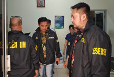 Kantor dan Gudang Eksportir Sawit Digeledah, Dugaan Manipulasi Data Ekspor CPO Diusut